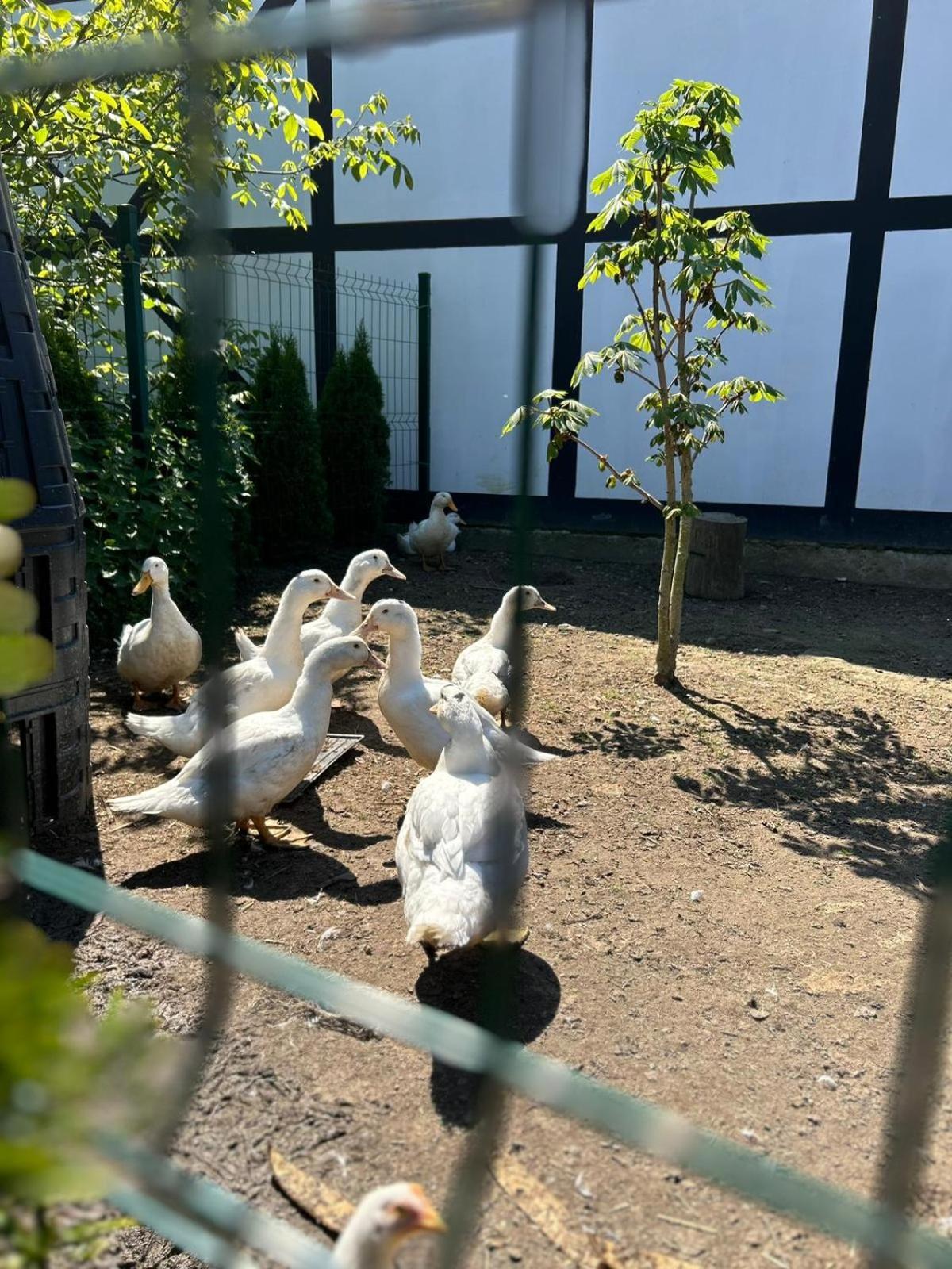 Pokoje Goscinne Nad Morzem Bobolin Buitenkant foto