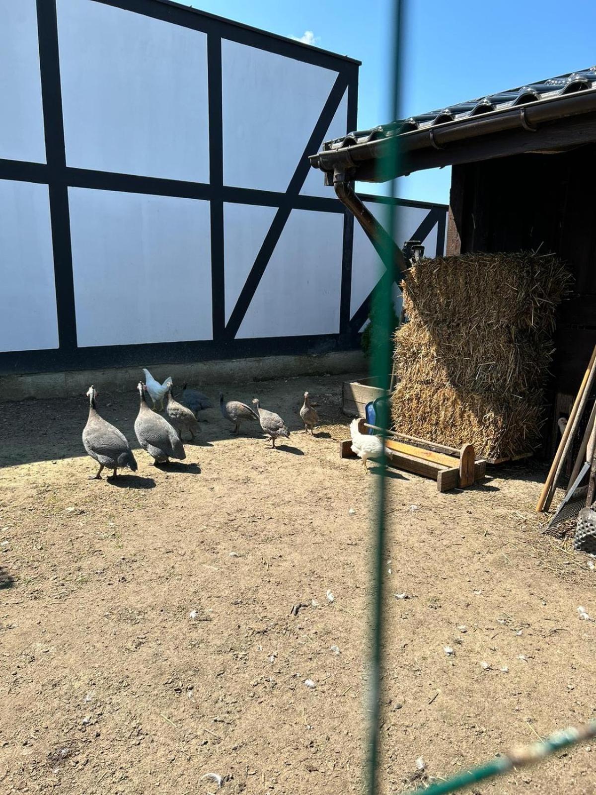 Pokoje Goscinne Nad Morzem Bobolin Buitenkant foto